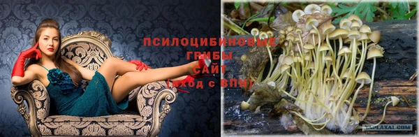 spice Армянск