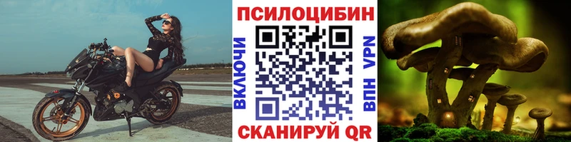 Псилоцибиновые грибы GOLDEN TEACHER наркотики hydra рабочий сайт Далматово